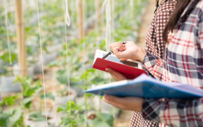 Glossário do Campo: Termos Técnicos que Todo Produtor Deveria Conhecer