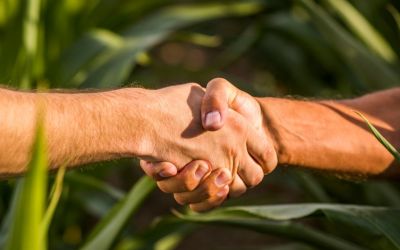 Tecnologia em Aços Especiais: O Diferencial Balbinot no Campo e no Jardim