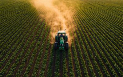  Como Pequenas Decisões no Campo Influenciam Diretamente o Resultado da Safra