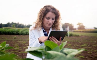 Como Aumentar a Eficiência do Plantio com Peças de Alta Performance