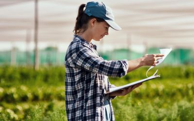 O Que Levar em Conta na Hora de Escolher Peças para Implementos Agrícolas