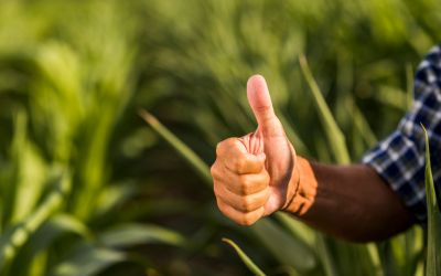 A Influência da Qualidade das Peças no Desempenho da Lavoura