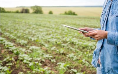 O Que Torna uma Operação Agrícola Verdadeiramente Eficiente?